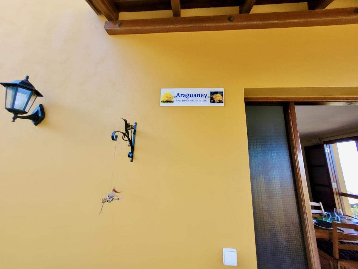 Apartmán Bollullo Sunset - Araguaney La Orotava Exteriér fotografie